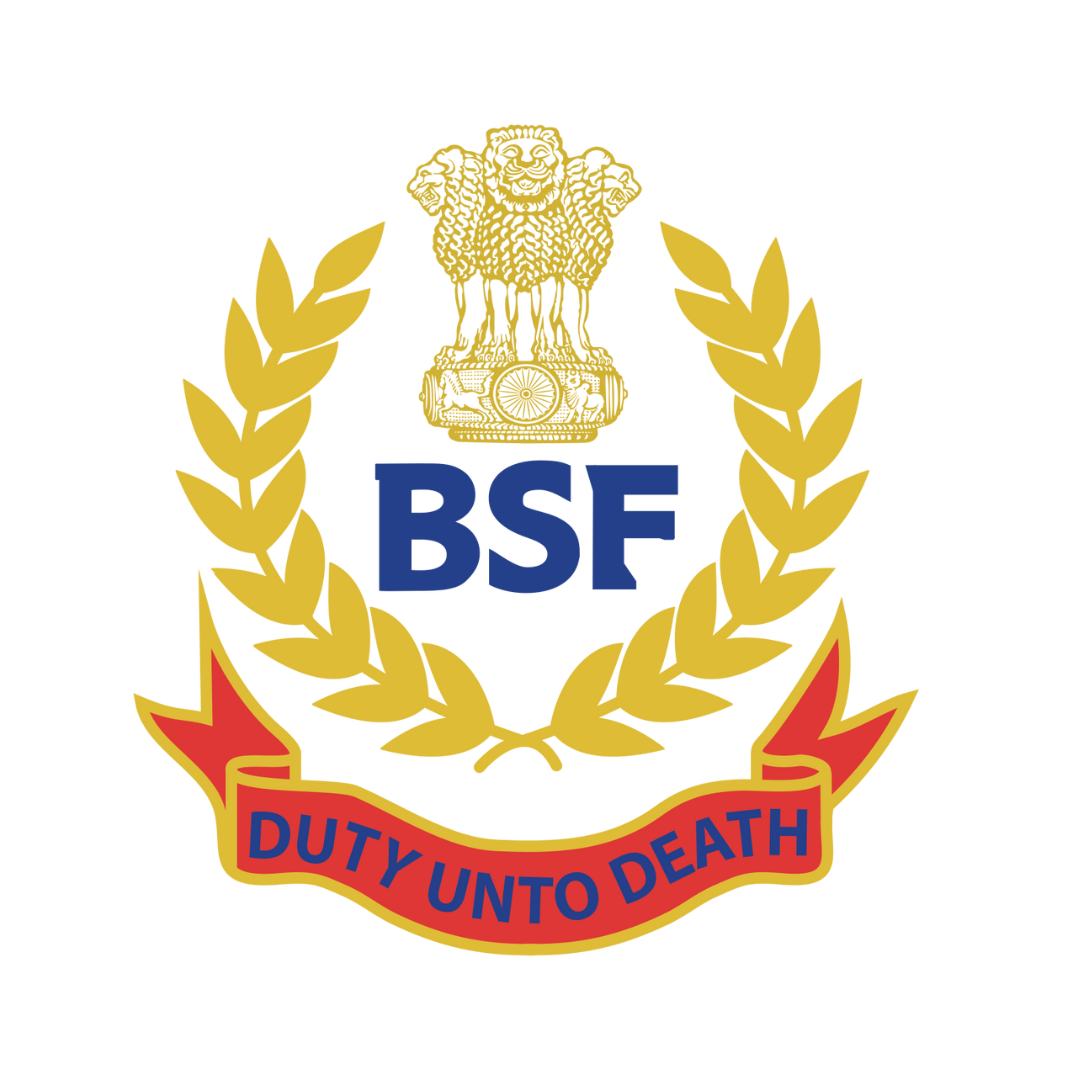BSF.png